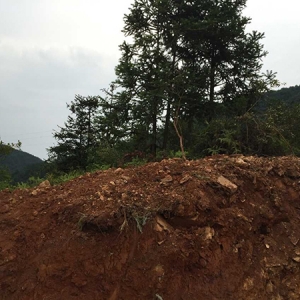 做一穴将军点兵