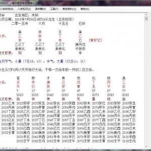 南方八字软件用神版软件