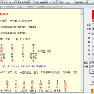 徐氏专业批命术软件大师版