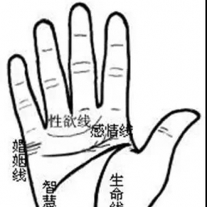 花心与闷骚的手相