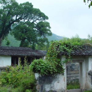 解读杨公风水阳宅择日方法是什么