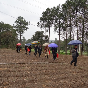 三年寻龙 十年点穴、杨公风水寻龙点穴秘诀