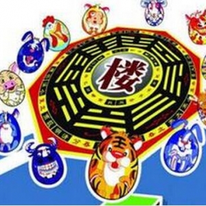 天医加祸害组合能量分析