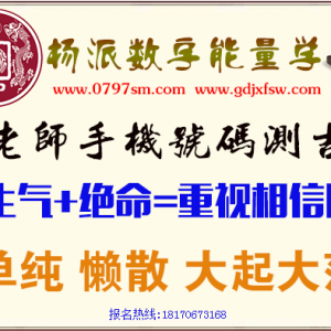 生气加绝命组合能量分析