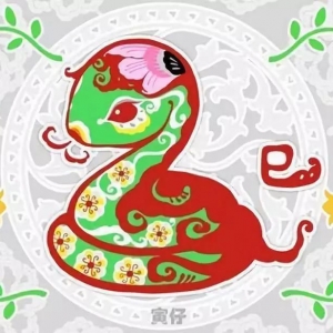 生肖蛇的2020（庚子）年流年运势详解
