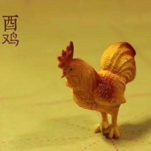 生肖鸡的2020（庚子）年流年运势详解