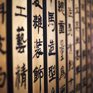 《至宝经》 [宋] 胡矮仙 撰