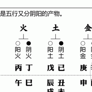 儿女子息、六亲预测之八字命理