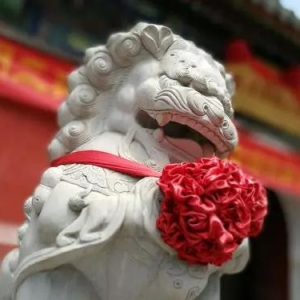 小心镇宅之宝“风水狮”，石狮摆放七大法则，对可招财错则伤人