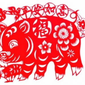 属猪2021年运势及每月运程 2021年属猪人的全年运势