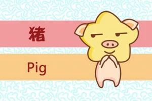 2021年十二生肖1月运程解析