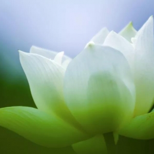 手机号码中最让人喜爱的“吉祥三宝”磁场