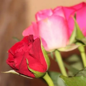 女性朋友千万不要用的手机号码尾号！