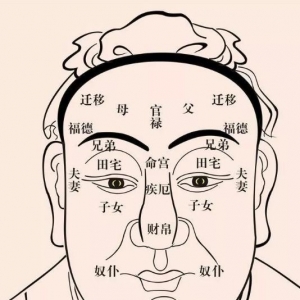 学习面相不求人，面相十二宫大全