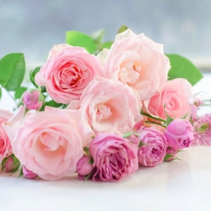 为什么挑选良辰吉日非常重要?