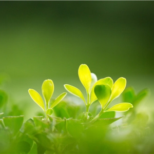 盘点2021年真真假假的预言