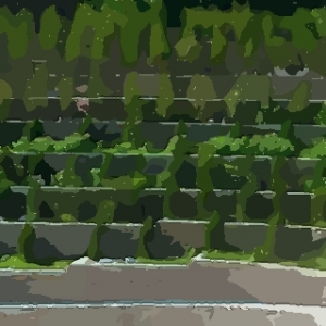 如何看阴宅风水好不好