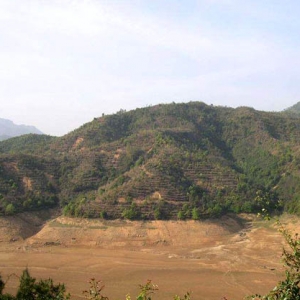 公位分房法：风水如何分老大、老二、老三……？