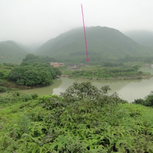 寻龙点穴的五种实操细节