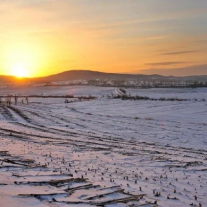 八字推算你的富贵程度，会不会是天生大富大贵