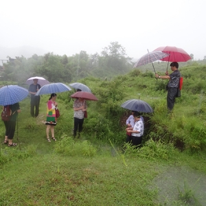 立碑刻字，内容注意事项