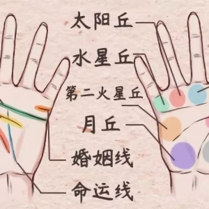 手相透露了富贵贫贱、夭寿吉凶，婚姻感情 ！