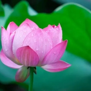 八字命理：读象的一些技巧总结