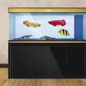 鱼缸摆放的5个注意事项，摆好了才能财源滚滚来