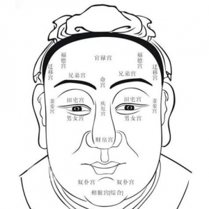 面相零基础：面部分十二个宫位，都代表什么？