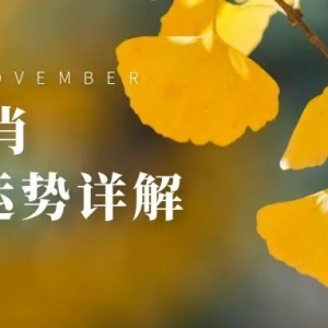 2022年11月十二生肖运势详解