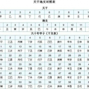 2023年闰二月，二月没九，饿死猪狗，2023年二月有九吗？