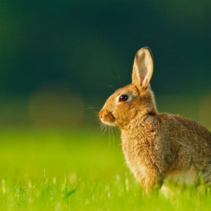 2023癸卯年，双春闰二月，逢立春要躲春，什么人要躲春？