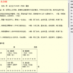 专业改运起名软件电脑版