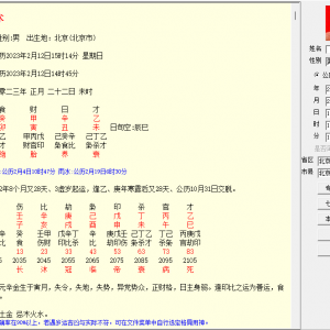 命理算命批命术七星批命软件