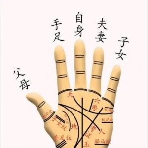 如何从手指断财运旺衰？