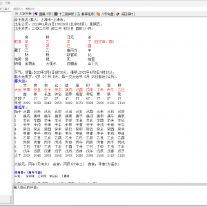 玄奥八字算命软件