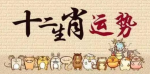 2023年11月十二生肖运程详解