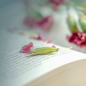 感情比较复杂，容易得抑郁症的号码数组，你有吗？