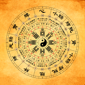 2024甲辰年(2024.2.4—2025.2.2)壬水人运势