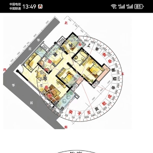 2024甲辰年(2024.2.4—2025.2.2)乙木人运势