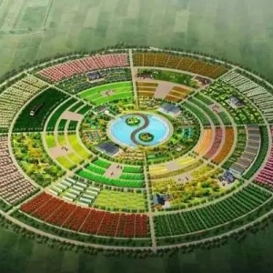 乙丑月运（24.1.6—2.3）丙火日干人运势