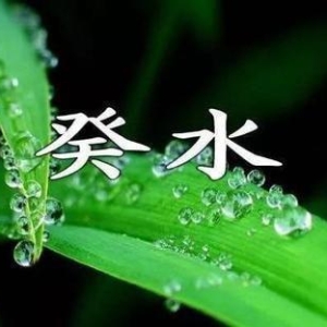 2024甲辰年丙寅月运2024年2月4日—3月4日癸水日主运势指南