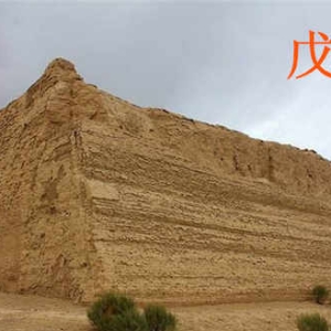 2024年己巳月运之戊土日主运势指南5月5日—6月4日