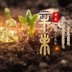 2024年己巳月运之辛金日主运势指南5月5日—6月4日