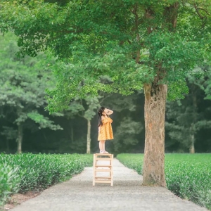 多病之人八字命局的特征