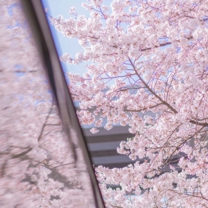 人压不住房，房子住着不顺怎么破解？