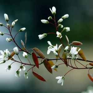 2024年壬申月壬水日主运势指南8月7日—9月6日