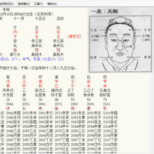 2025蛇年运势流年吉凶分析软件