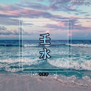 2025年己卯月壬水日主运势指南3月5日—4月3日