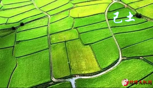 2025年辛巳月己土日主运势指南5月5日—6月4日